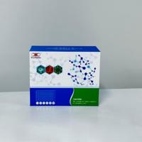 Kit de recherche ELISA pour la 3-oxo-5-alpha-stéroïde 4-déhydrogénase de rat (SRD5A2)