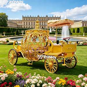 Carruaje de Cenicienta Eléctrico de Estilo Europeo, Carroza Metálica sin Caballos con LED para Bodas, Fiestas y Uso en Áreas Escénicas - Product Image 1