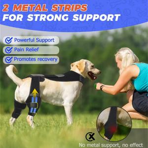 Genouillère de soutien pour chien, équipement de protection pour animaux de compagnie, ceinture de rééducation pour déchirure des ligaments articulaires, produit phare - Product Image 2