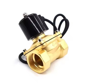 <span class=keywords><strong>IP68</strong></span> không thấm nước lặn cuộn dây thường mở 12V 24V 220V đồng thau hoặc thép không gỉ 304 cho hồ bơi nước đài phun nước Van điện từ - Product Image 2