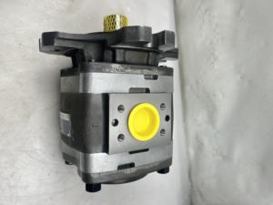 Pompe à engrenages hydraulique - Prix IPV 4-13 171 IPV 5-50 101 IPV6/80/101 IPN 6/5-125/100-101 Pompe à engrenages interne hydraulique - Product Image 6