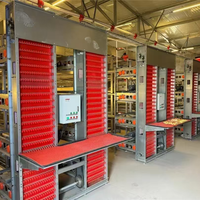 Cage à poulets automatique de type H, entièrement galvanisée à chaud, équipement d'élevage avicole pour la production d'œufs