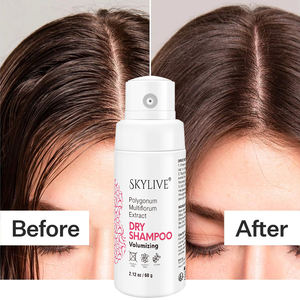 Shampooing sec en spray Saolon pour coiffeur bio à séchage rapide Shampooing à l'huile pour cheveux en spray sec en poudre pour fabricants bio - Product Image 2