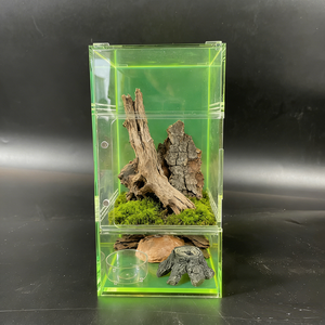 Maceta Grande de Acrílico Geométrica para Plantas de Interior, Suculentas, Musgo y Plantas Aéreas, Decoración para Mesa - Product Image 3