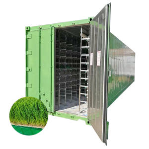 Système automatique de culture d'herbe fourragère luzerne orge <span class=keywords><strong>seigle</strong></span> ferme de conteneurs hydroponiques - Product Image 3