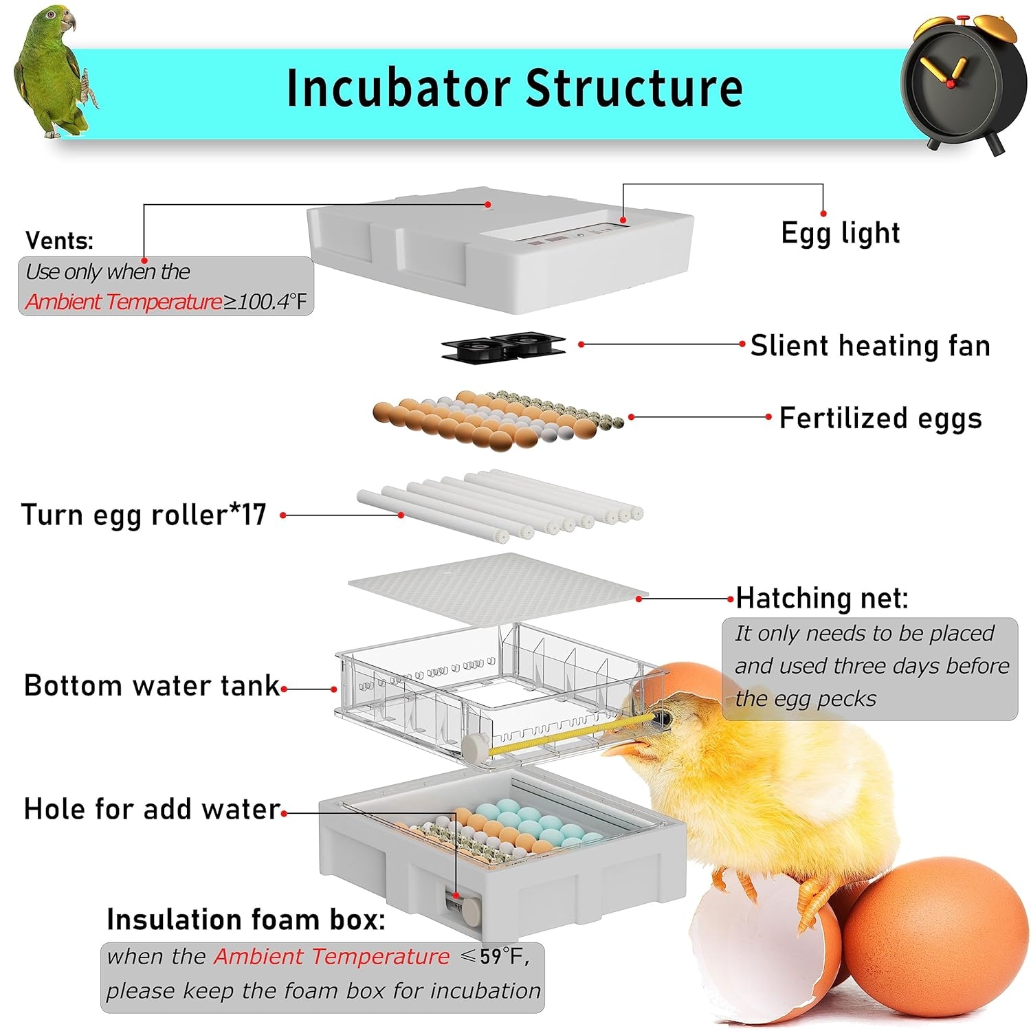 brooder box for chicks kit