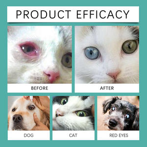 Gouttes oculaires pour animaux de compagnie : Aident à réparer et protéger les <span class=keywords><strong>yeux</strong></span> des animaux, fournissent une nutrition profonde et améliorent naturellement la vision - Product Image 2