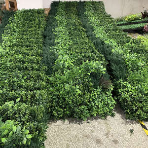 Muro di piante verticali artificiali a prova di fuoco a prova di uv su misura muro di erba verde pianta da appendere alla parete artificiale - Product Image 6