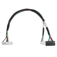 كابل LVDS موصل HSG PHSD 30P A2545-2*10P LHE 5264-5U بعزل PET، تصنيع حسب الطلب (OEM/ODM) لتطبيقات الكمبيوتر، مجدول ومطلي بالفضة