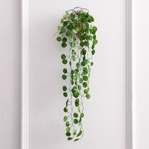 Plante artificielle murale en feuilles de Scindapsus Aureus Hitom, style lierre chinois, pour décoration murale verticale (vente en gros) - Product Image 6
