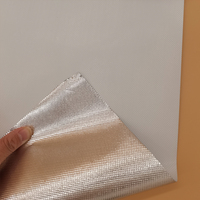 Feuille de film mylar diamant à réflexion diffuse blanc argenté, 4 pieds * 100 pieds