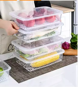 Kitchen Refrigerated Crisper Fresh Fish Storage Box Plastic Food Storage Containers