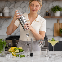 Ensemble de shaker Boston en acier inoxydable, 5 pièces, outils de bar avec verre à mélanger, doseur, pilon, passoire, cuillère de bar pour bar à domicile