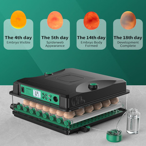 Cung cấp điện kép lồng ấp trứng nở Máy công suất 100 lồng ấp trứng hoàn toàn tự động - Product Image 4