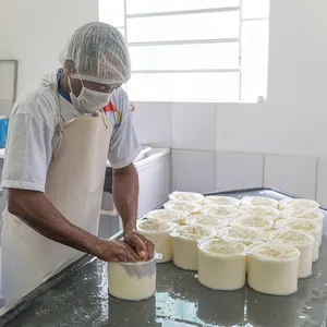 مصنع صغير لتجهيز الحليب والجبن بقيمة 200 لتر