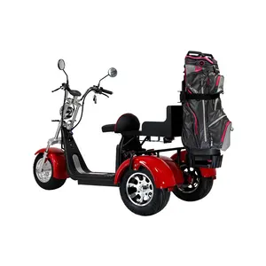 Citycoco Electric Golf Scooter 3 Wheels Electric Motorcycle 2000w Electric Adult Scooter