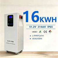 Batterie et onduleur combinés pour équipement médical cellulaire ignifuge 314Ah 16kWh 51.2V avec protection contre les surcharges, cellule de batterie lithium-ion