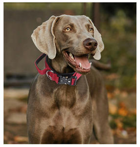 Collares para Perros Resistentes, Duraderos, Gruesos y Ajustables, Collar Táctico para Perros con Asa para Perros Medianos y Grandes - Product Image 6