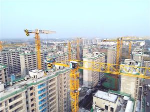 Grúa Torre de Techo Plano Topless QTZ125 6015 para Construcción de Edificios, Capacidad de Carga Nominal de 8-10 Toneladas - Product Image 5