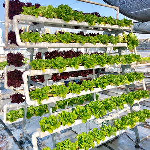 Salade Laitue Fraise Germes <span class=keywords><strong>de</strong></span> soja Nourrir À peine Récolte Rapide Culture hydroponique à haut rendement Système d'irrigation agricole - Product Image 2