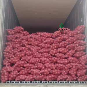 Cebolla Fresca de Calidad de Exportación: Cebolla Roja y Cebolla Amarilla Nueva Cosecha - Product Image 6