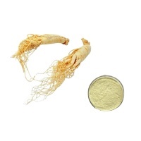Panax <span class=keywords><strong>Ginseng</strong></span> Ekstresi Tozu Ginsenosidler Tozu %5 %80 Hammadde <span class=keywords><strong>Ginseng</strong></span> Kökü Ekstresi Tozu - Product Image 4