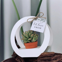 Usine directe personnalisé luxe haute qualité blanc carton anneau Simple succulente Pot papier panier papier sacs en papier ventes directes