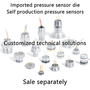 Transductor de Presión WTsensor de Acero Inoxidable 304/316 IP65/IP68, 0-5.5V/0-10V, Sensor de Presión de Aire Pequeño de Alta Sensibilidad - Product Image 6