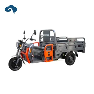 Китай Мощный 1000 Вт сельскохозяйственный Электрический Грузовой Трехколесный трехколесный мотоцикл Cargobike