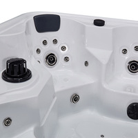 Personnalisé Badewanne Baignoire Jardin natation source chaude SPA adulte surf massage température constante extérieur grande piscine baignoire