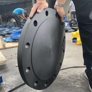 Acier au carbone forgé ASTM A350 <span class=keywords><strong>GR</strong></span>. Bride aveugle LF1 LF2 LF3 LF5 LF6 LF9 LF7 pour installations GNL basse température - Product Image 4
