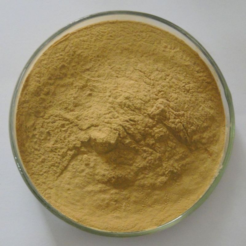 date concentrate powder