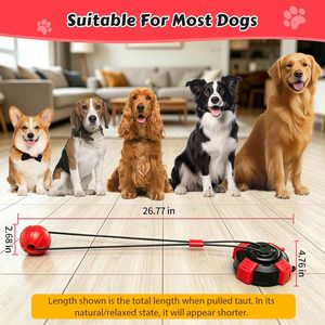 Jouet de tirage mains libres pour chien, jouet de tirage à la corde pour chien à forte aspiration, jouet interactif indestructible pour l'auto-entretenissement et l'entraînement des animaux de compagnie - Product Image 6