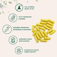 Capsules de Berbérine HCL Naturelle Marque Blanche OEM – Soutien Antioxydant et Énergétique pour la Santé Intestinale et Immunitaire des Adultes – Complément Alimentaire à Base de Plantes