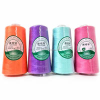 Fil à broder acrylique 875 couleurs 24S 2 brins 3000 yards Couleur unie Aspect artisanal Vente en gros OEM