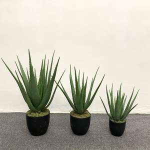 Maceta pequeña artificial suculenta de alta calidad, Aloe falso, decoración del hogar, escritorio, árbol realista, planta de Aloe <span class=keywords><strong>Vera</strong></span> - Product Image 2