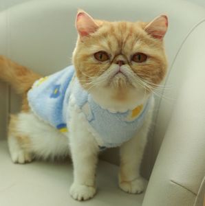 Ropa para Mascotas, Perros y Gatos, Otoño e Invierno, Nuevo Chaleco de Cachemira Grueso y Lindo para Teddy Bichon, Ropa para el Hogar - Product Image 3