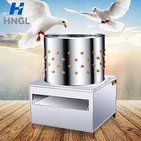 Plumeuse à poulet robuste en acier inoxydable 304 pour marchés et cantines