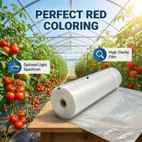 Film de serre pour tomates 200 microns, résistant aux UV, PE haute transparence, anti-goutte, co-extrusion 3-5 couches, tunnel haut