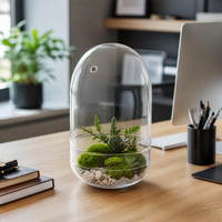 Terrarium en verre borosilicate fait main avec couvercle en verre et trou de ventilation, récipient transparent pour exposition de plantes