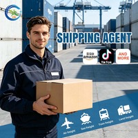USA Luftfracht-Agentur-Service von China in die EU USA Online-Shop Pakete und Leichtfracht Spediteur Versandagentur