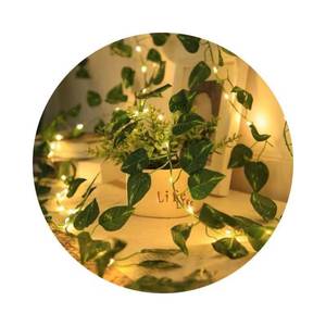 Guirnalda de Luces LED Verde con 300 Luces, Alimentación USB, Decoración para Bodas, Interruptor Manual - Product Image 5