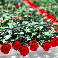 Fournisseur en gros de produits de mariage : Fleur artificielle de qualité supérieure, rose fraîche préservée avec tige dans une boîte ronde en PVC