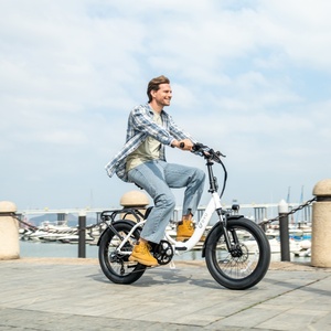 Wholesale Adult <b>Electric</b> Bicycle 20 Inch Fat Tire Step Through Commuter E Bike - Product Image 1