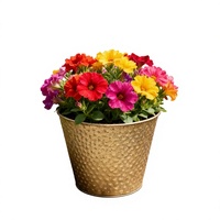 Vente en gros d'usine, pot à fleurs en métal de 10' (2,7 gallons), jardinière en métal avec motif de points dorés et noirs pour une utilisation en intérieur et en extérieur