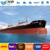 Agente de transporte aéreo/marítimo internacional de China a EE. UU./Europa