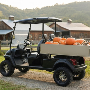Holladay Cargo voiturette de <span class=keywords><strong>golf</strong></span> électrique 2 places longue portée haute vitesse 5000W 72v buggy de chasse électrique pour terrain de <span class=keywords><strong>golf</strong></span> logistique agricole - Product Image 1