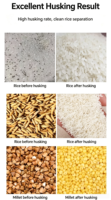 Nouvelle machine à décortiquer et polir le riz de type armoire en acier inoxydable 220V, petite décortiqueuse de riz paddy, machine à éliminer les insectes du riz