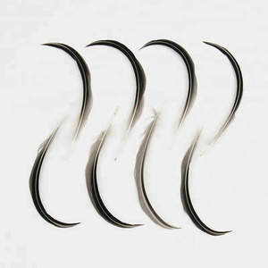 10-18cm vịt lời khuyên cánh với lông cong lông vịt tự nhiên cho hàng thủ công - Product Image 3