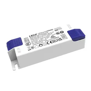 Convertisseur AC/DC Lifud Led Driver 220V, sortie 300mA pour modules LED, alimentation à découpage monocanal - Product Image 1